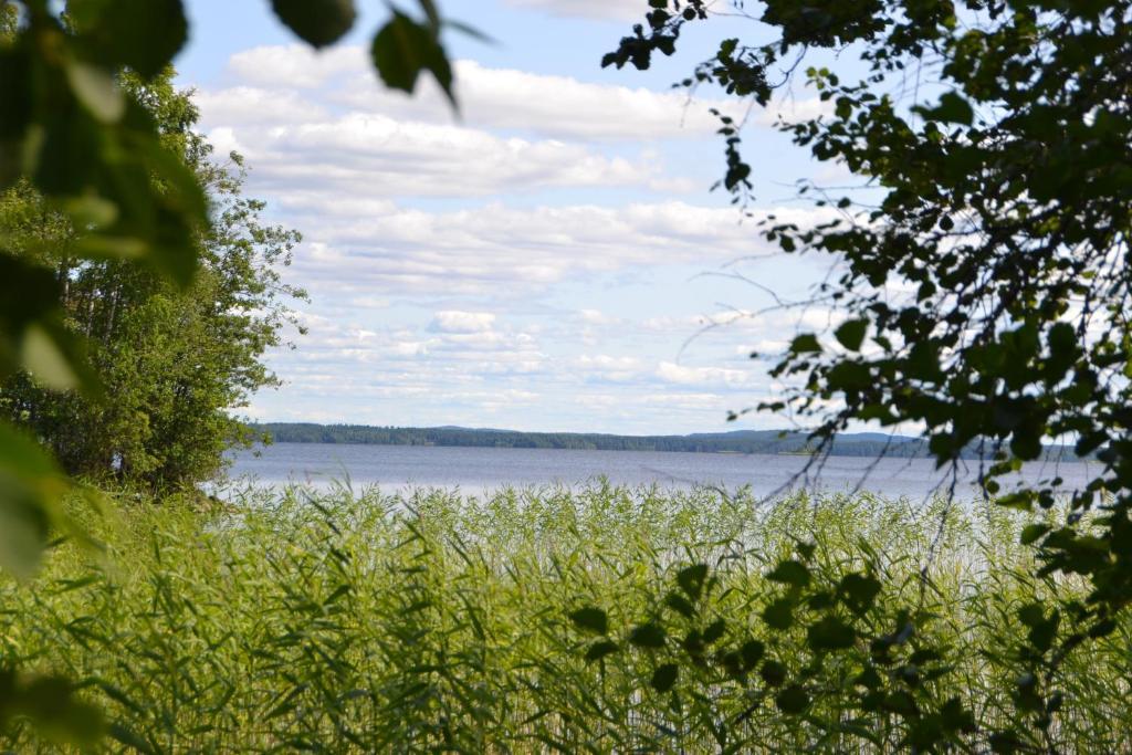 Holiday Home Tuomarniemi Kokonvaara Rum bild